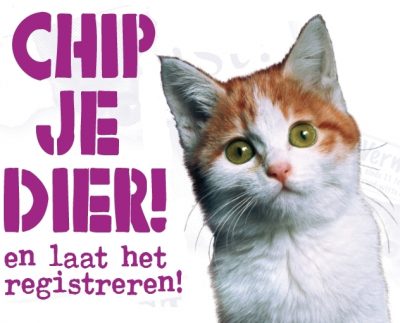 November= gratis katten chipmaand!